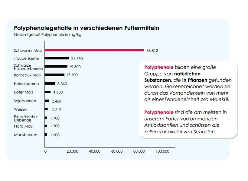 Versele Master Diät Relax 20kg 5 Versele Master Diät Relax 20kg – Bild 3