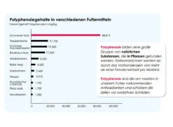 Versele Start Plus I.C.⁺ 20kg -Heimtierbedarf Angebote antioxidantien 19