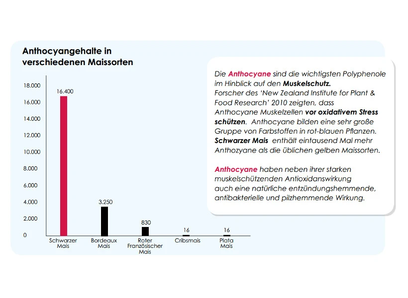 Versele Winter Plus I.C.⁺ 20kg 6 Versele Winter Plus I.C.⁺ 20kg – Bild 4