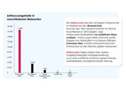 Versele Start Plus I.C.⁺ 20kg -Heimtierbedarf Angebote antioxidantien 29