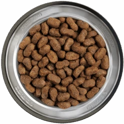 Belcando Adult Lamb & Rice 12,5kg -Heimtierbedarf Angebote belcando napf adult lamb and rice 800x800 1