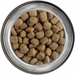 Belcando Junior Maxi 2er-Pack 25kg -Heimtierbedarf Angebote belcando napf junior maxi 800x8000