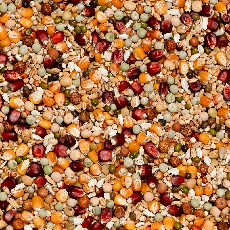 Beyers Premium Jelle Jellema 20kg 3 Beyers Premium Jelle Jellema 20kg