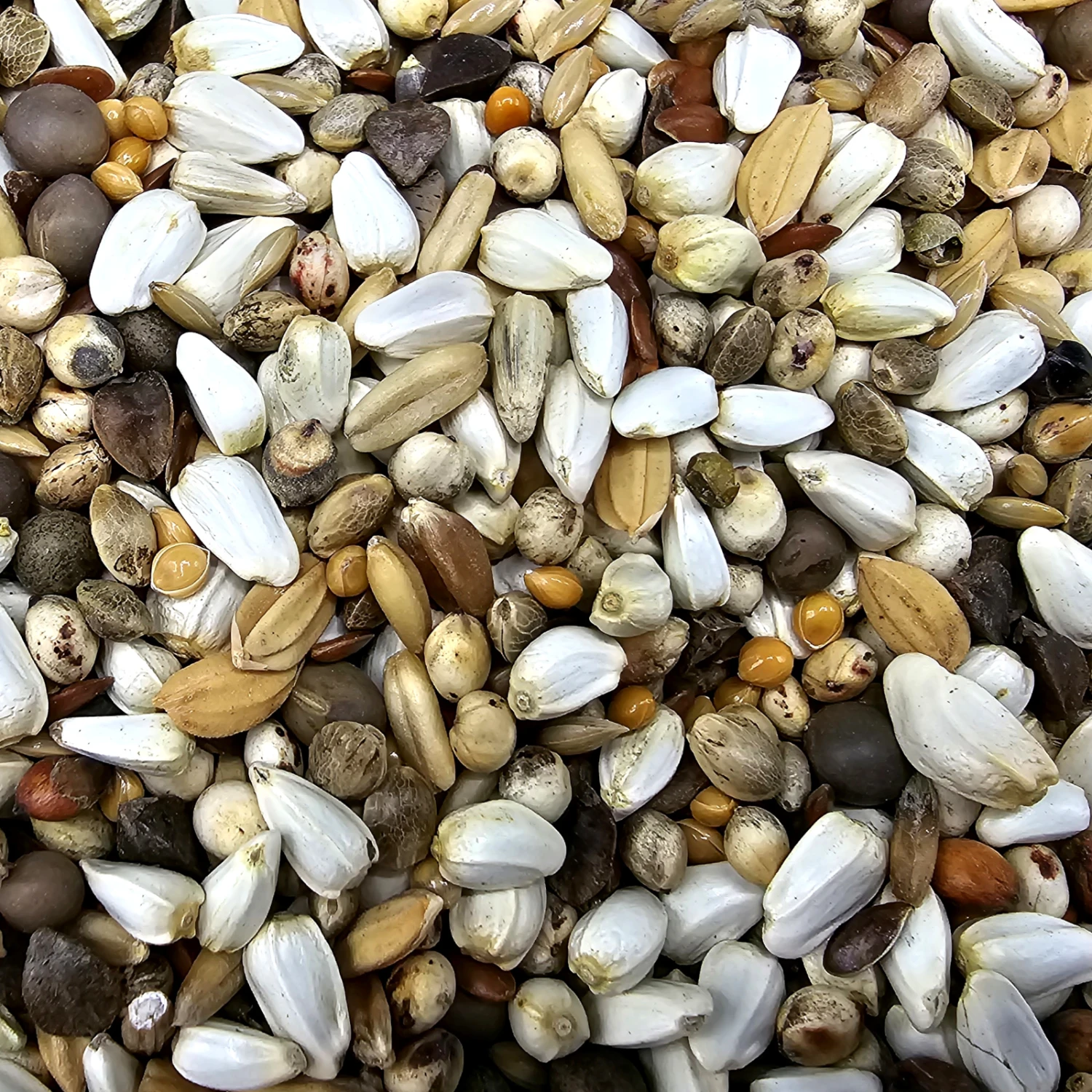 Gladen Super Diät 20kg 3 Gladen Super Diät 20kg