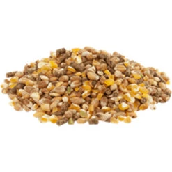 Versele Gold 4 Mix 20kg -Heimtierbedarf Angebote gold4mixl