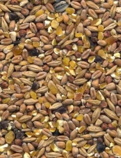 Havens Scharrel-Graan - Körnerfutter 25kg -Heimtierbedarf Angebote graanmengelingenscharrelgraan