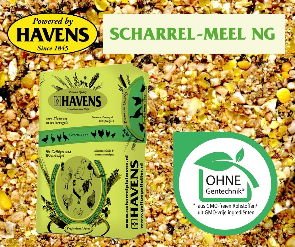 Havens Scharrel-Mehl NG - Legemehl GVO-frei 25kg 4 Havens Scharrel-Mehl NG - Legemehl GVO-frei 25kg – Bild 2