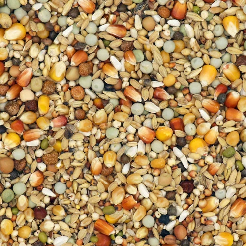 Versele Junior Active Life 25kg 3 Versele Junior Active Life 25kg