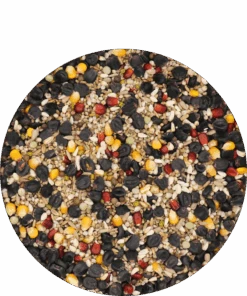 Versele Master Black 20kg