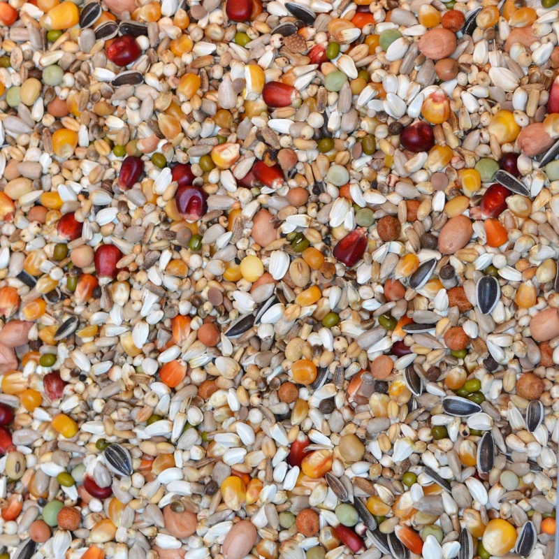 Vanrobaeys Nr.816 Clique Golden Racing 20kg 3 Vanrobaeys Nr.816 Clique Golden Racing 20kg