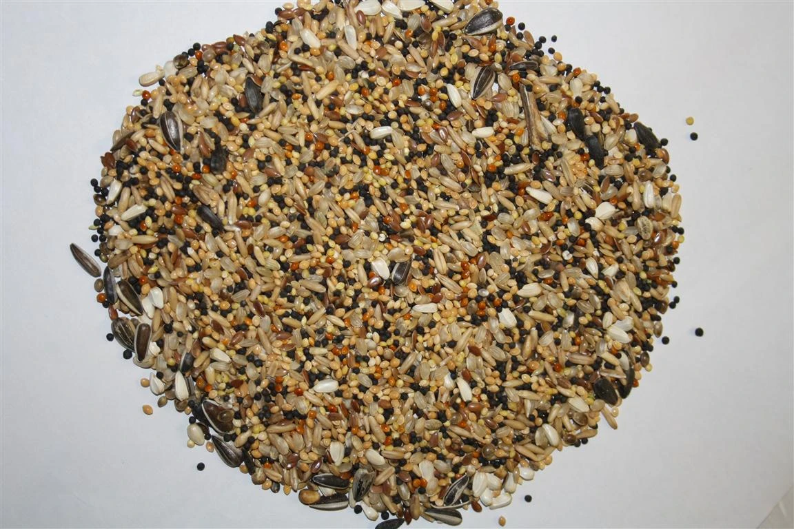 Spinne Rennfutter - Ölsämereien 20kg 3 Spinne Rennfutter - Ölsämereien 20kg