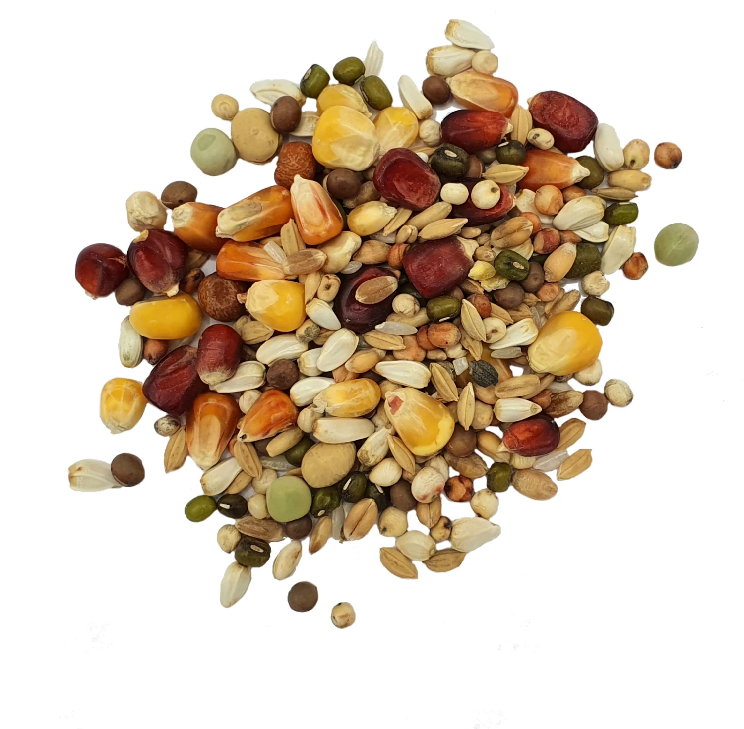 Vanrobaeys Nr.1968 Taubenfuttermischung 25kg 4 Vanrobaeys Nr.1968 Taubenfuttermischung 25kg – Bild 2